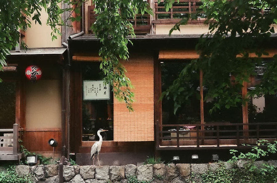 九州大学详情-51offer免费留学服务智能平台