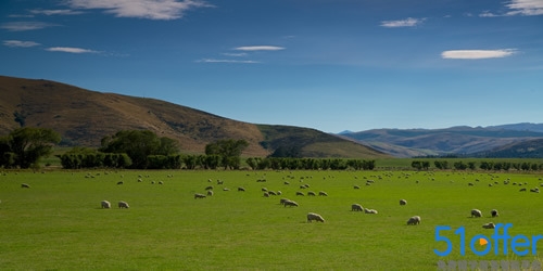 新西兰留学园艺专业就业前景是最好的