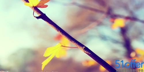 新加坡留学生所需的花费有哪些