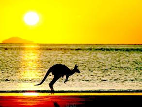 新西兰留学签证限制放宽 新增八个移民职业