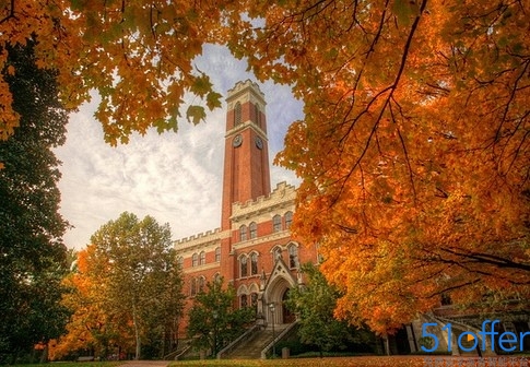 加拿大留学之网络申请签证