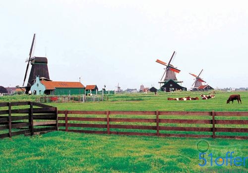 荷兰商科有四大独特优点