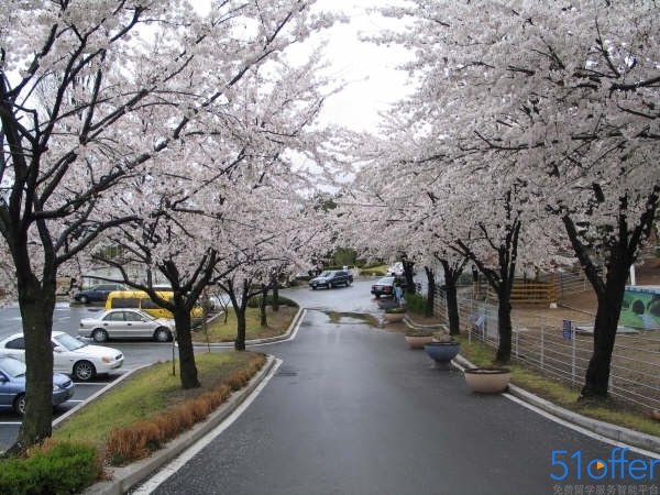 韩国留学签证照片要求介绍