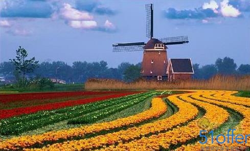 荷兰留学有什么行李不能带