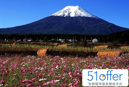 日本留学:签证申请误区介绍