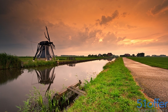 荷兰留学呈现的新特征