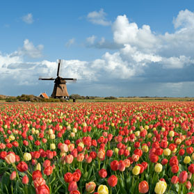 荷兰留学申请研究生条件的介绍