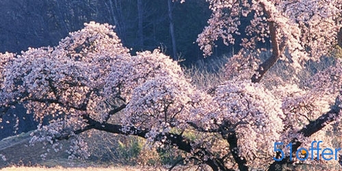 英国留学签证多长时间介绍