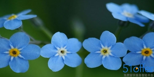 英国留学签证保证金如何存 - 51offer免费留学服