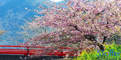 申请日本语言学校学习的途径是什么