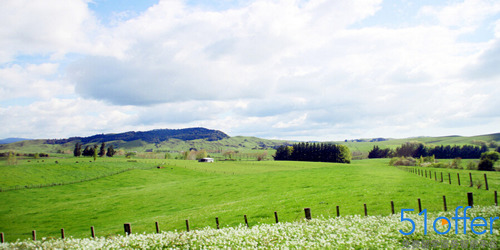 福建合法新西兰留学中介有哪些