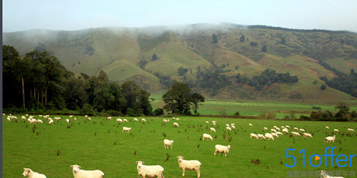 新西兰或将考虑成都设签证中心