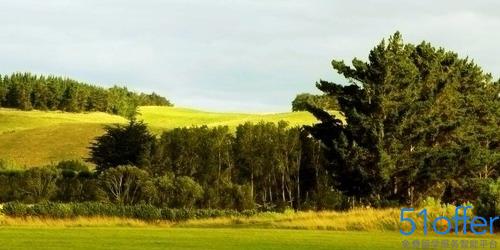 新西兰博士留学奖学金申请条件介绍