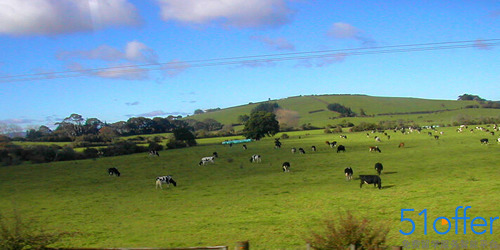 新西兰中学三种教育制度是什么