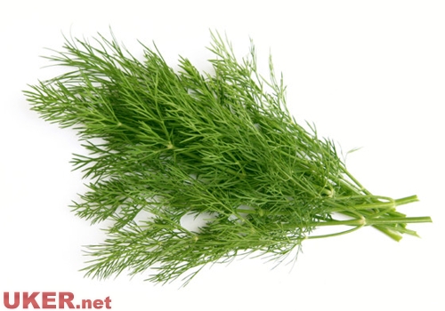 英国超市常见的香料及瓶装调料