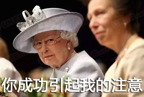 英国女皇表情包图片