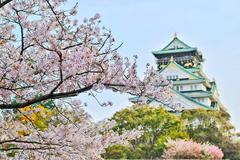 考研后去日本留学的3种方案，你适合哪个？ 