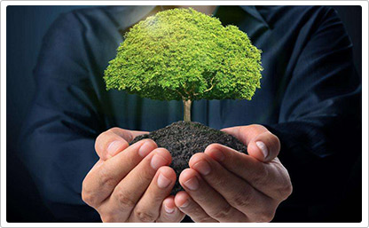 51offer 让留学更简单,互联网留学领导者!